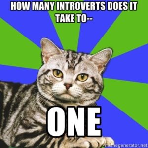 introvertit